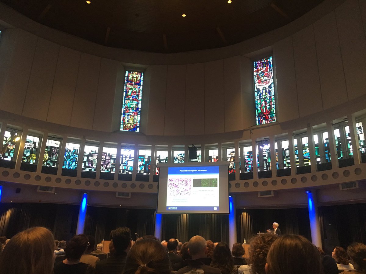 EFCvanRossum's tweet photo. Excited to chair the annual Dutch Endocrine Meeting. For the first time adult and pediatric endocrinologists together @ErasmusMC #hormones https://t.co/4NsYmn2BIr