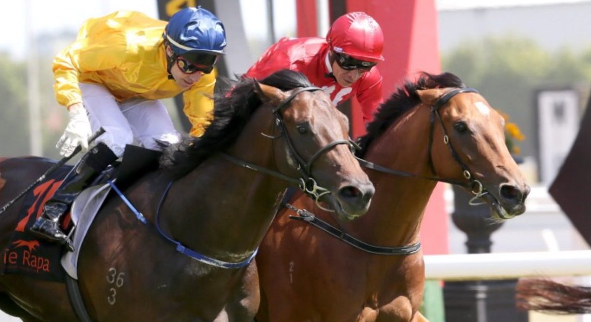 TheHasselhoof's tweet photo. Another great win for my Tavy bro!  Congrats to Donna, Chris &amp; team.  https://t.co/2VAeNSEyj2 https://t.co/kkL9BlyQ68