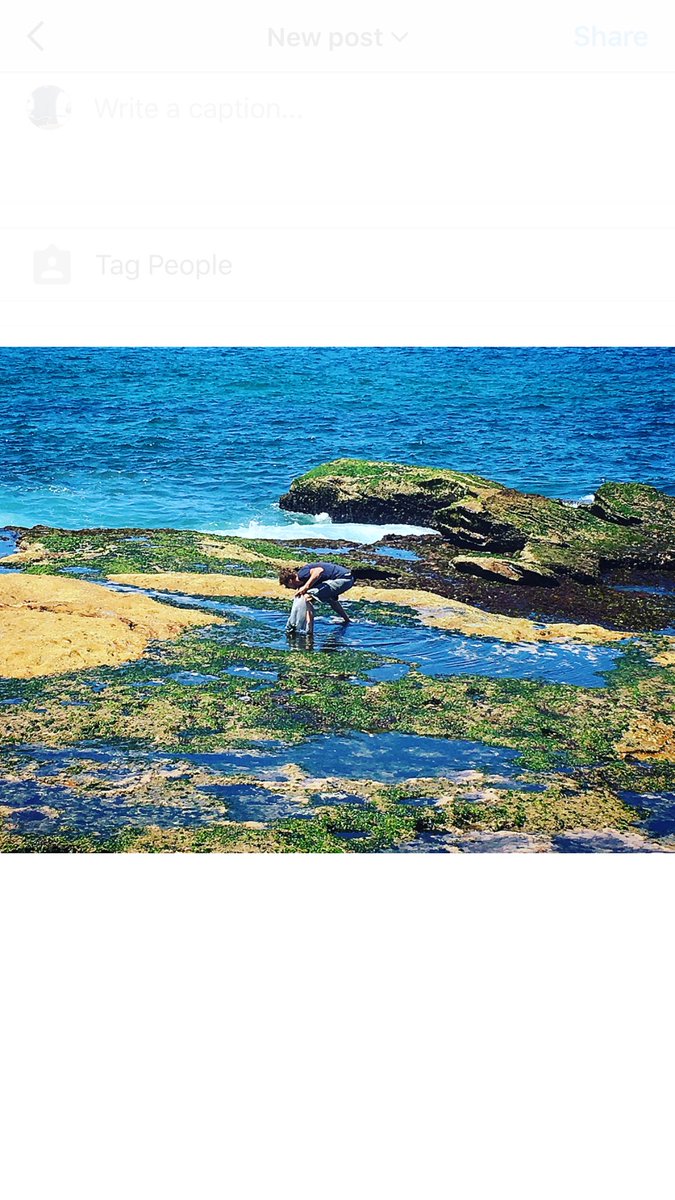 Picking sea lettuces, #nature #ocean #sealife #gastropark