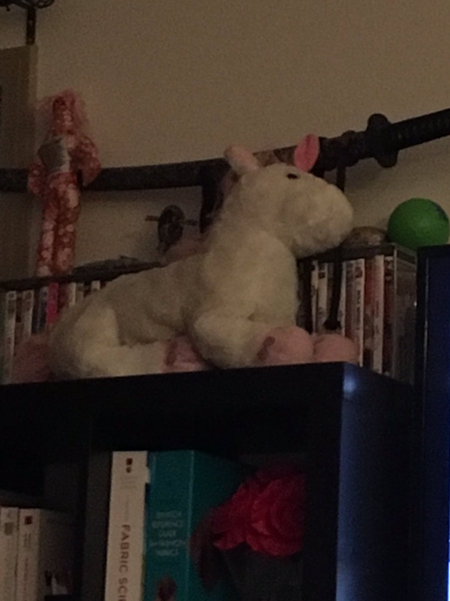 FluffyUltimate's tweet photo. Mascot spotted! https://t.co/980Q02iqN5