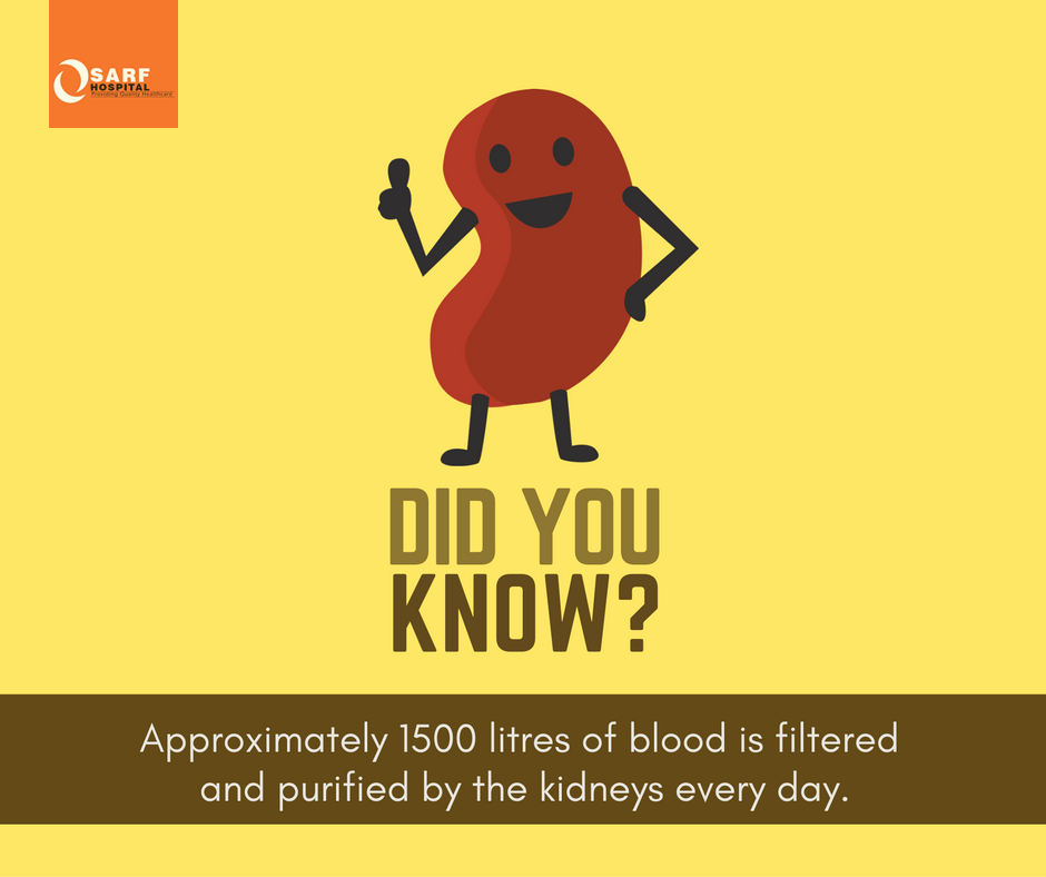 SarfHospital's tweet photo. #DidYouKnow

Here is an interesting fact about your kidney 
that you should know !

#SARFHospital
#Islamabad https://t.co/gsQCslWWHA