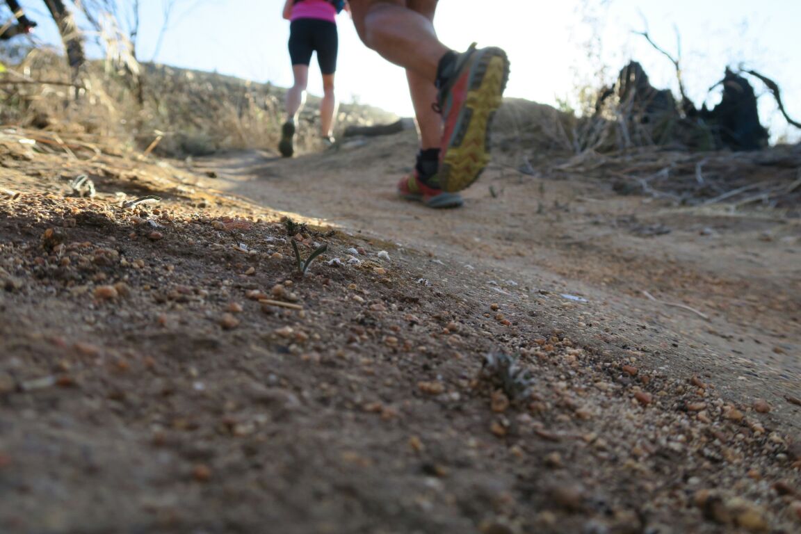 FairtreeContour's tweet photo. Tekkie hitting the gravel at this year's Fairtree Simonsberg Contour Trail Run. #SimonsbergContour #trailrun @trailhub_za @dirtopia https://t.co/WpvKwDyXRI