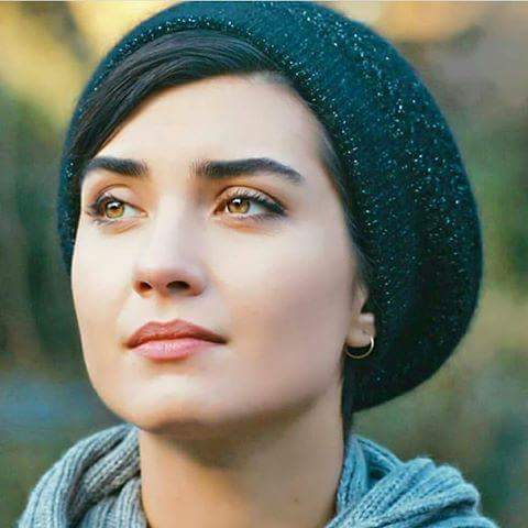 ShamiAbeer's tweet photo. #صورة_ملف_شخصي_جديدة https://t.co/FmLtZgNd8p