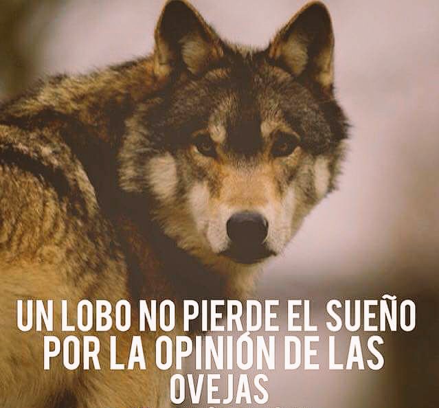 JohnnyOrtiz59's tweet photo. Firme y decidido https://t.co/rYxAhHQk4q