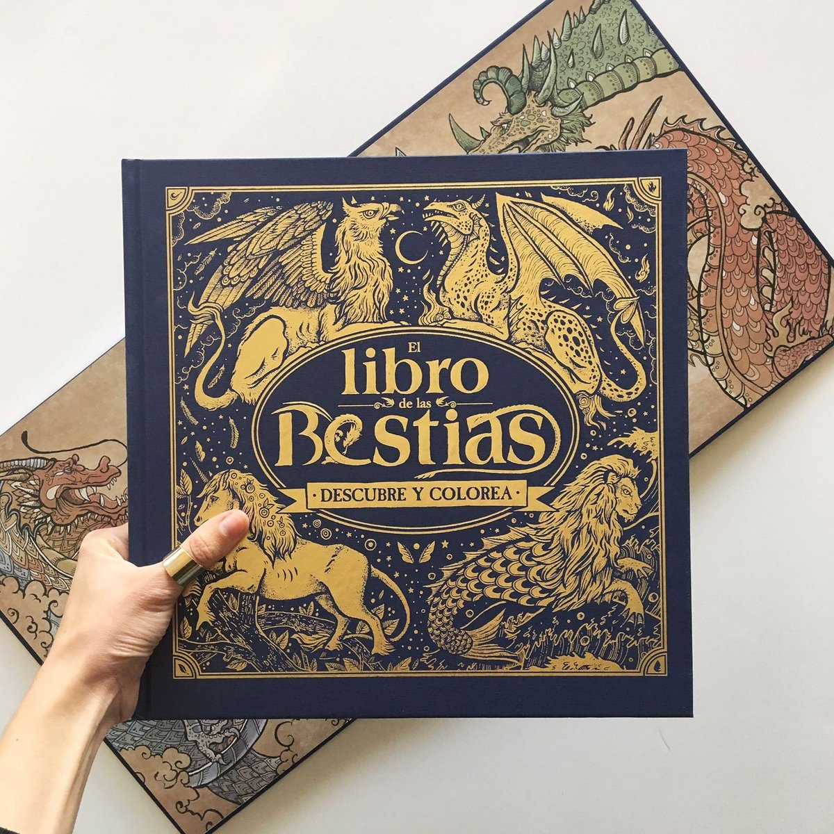 anayainfantil's tweet image. Plan mañanero: colorear y descubrir los animales mitológicos