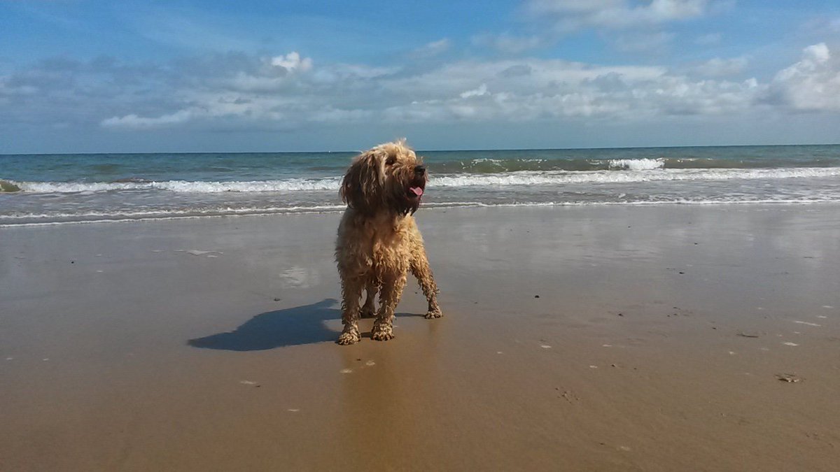 facebook.com/NorthNorfolkDo… facebook.com/43035431402241…