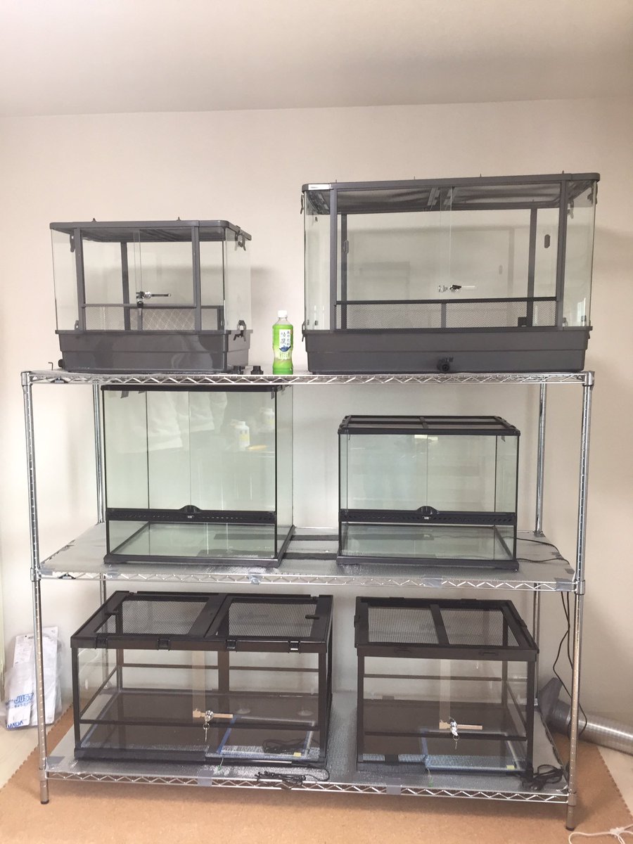 Dr T 使用感を比べる為に新しい飼育部屋に爬虫類用ケージを置いてみた ジュラパーク 軽いが組み立てが微妙 最低二人でする方が良い エキゾテラ 1一個割れて届く 60 45 60歪んでる 60 45 45までだわ 重すぎる ケースバイケース組み立て簡単軽い T Dr T 使用感を比べる為に新しい飼育部屋に爬虫類用ケージを置いてみた ジュラパーク 軽いが組み立てが微妙 最低二人でする方が良い エキゾテラ 1一個割れて届く 60 45 60歪んでる 60 45 45までだわ 重すぎる ケースバイケース組み立て簡単軽い T