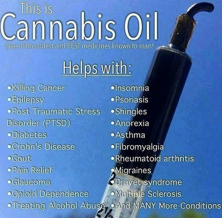 cannabis_mag's tweet photo. #CannabisOil or #CBD is a NATURAL WONDER!! It helps with #cancer #Epilepsy #insomnia #psoriasis #Fibromyalgia #arthritis #ptsd #gout #Asthma https://t.co/DxJBy5FUPw