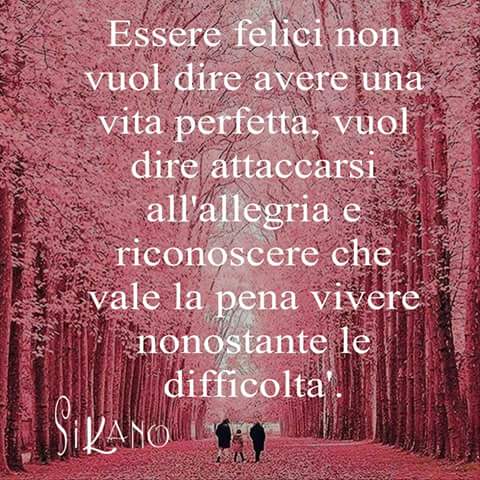 roberta_tasca's tweet photo. Se #vadoOltre ogni problema un piccolo raggio lo trovo....buongiorno 😍 https://t.co/XBcHfljiCA