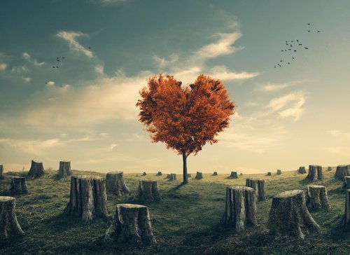 blackranErika's tweet photo. #vadoOltre ... Dove l'anima contempli la meraviglia e allegerisca la materia passionale... https://t.co/tHyK7uuTaz