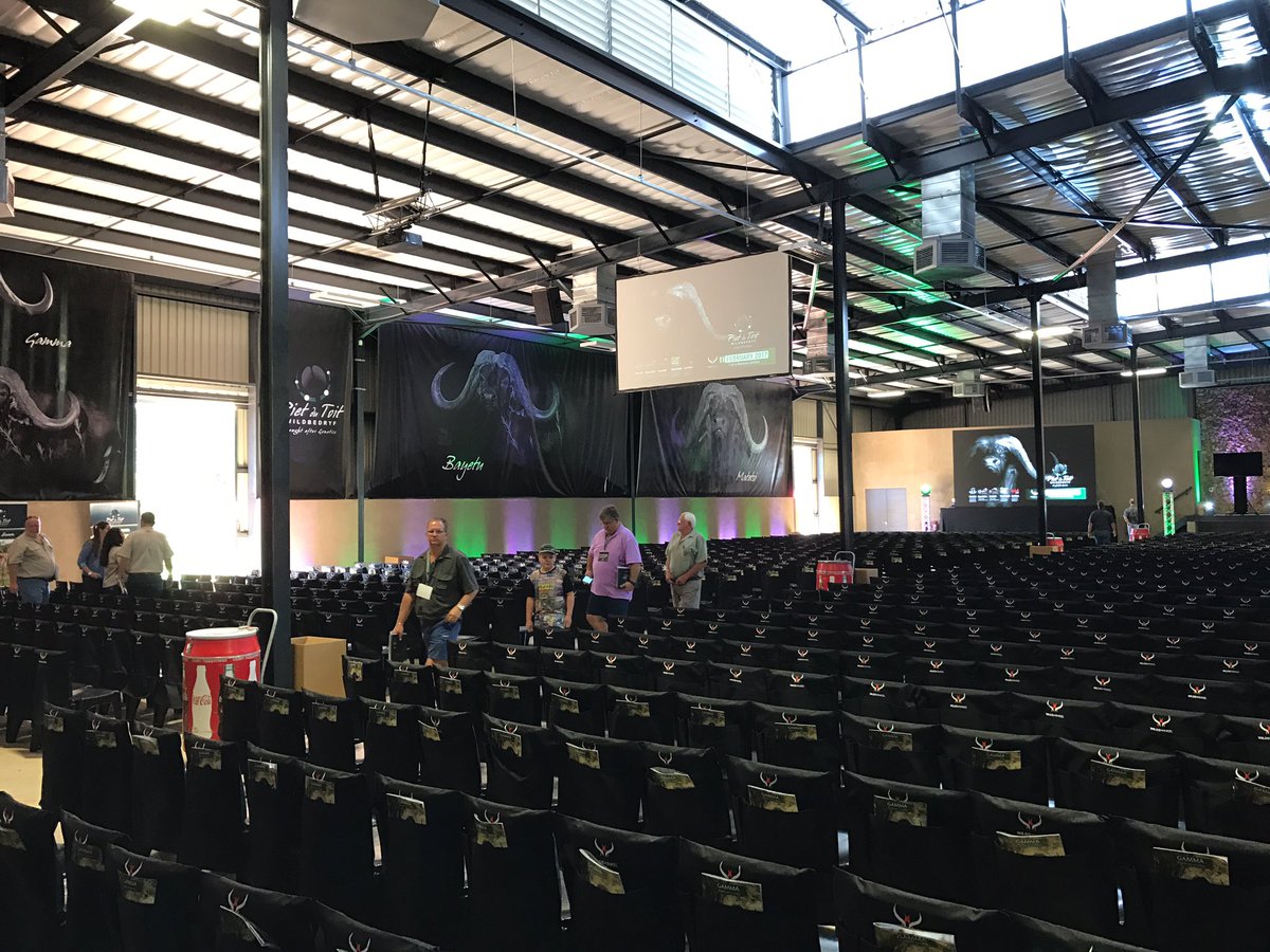GoldenBreeders's tweet photo. At Piet Du Toit 2017 Auction https://t.co/ydkE5e9WwS