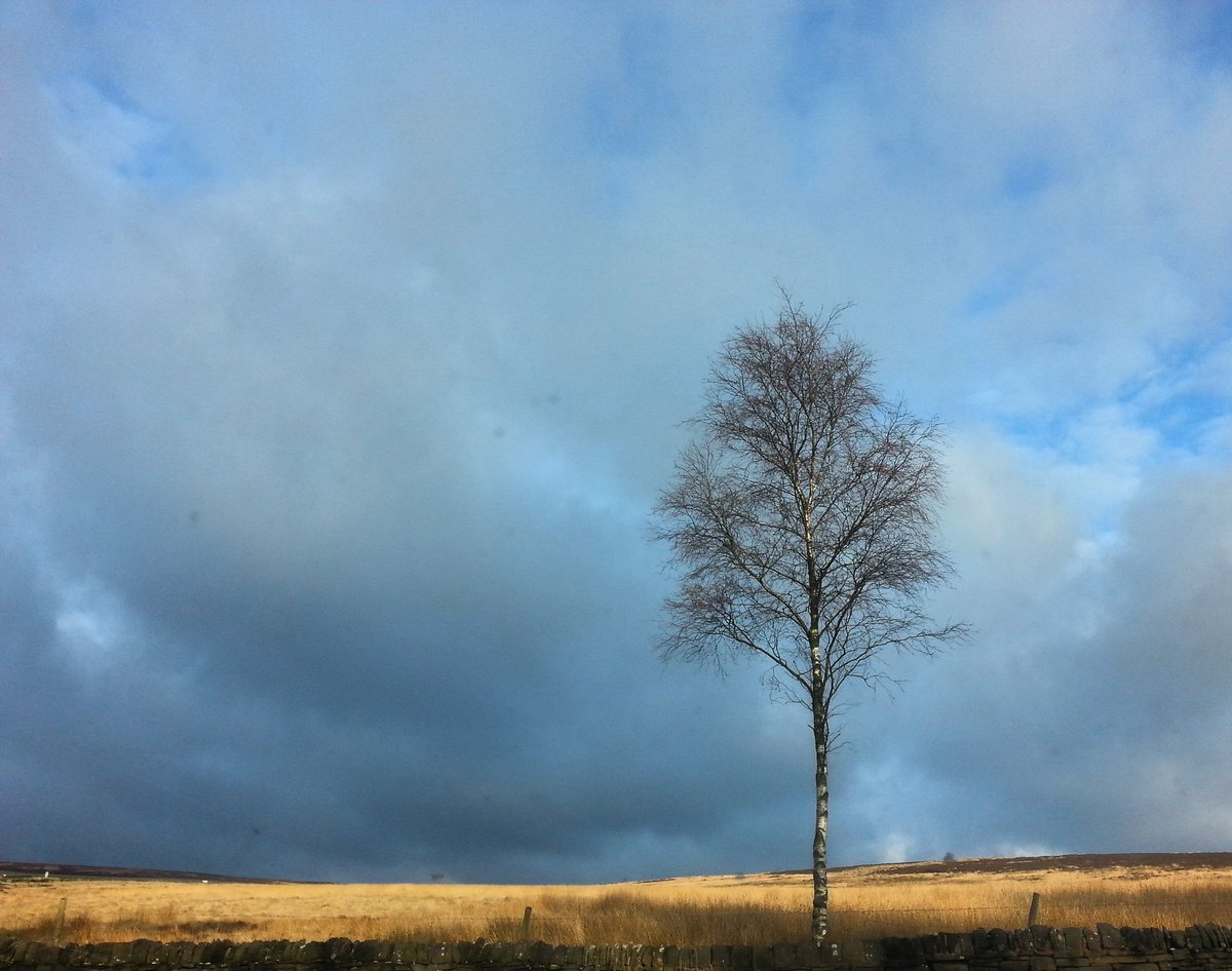 beckwoods1924's tweet photo. Great day with great people, learning about the @JohnMuirTrust  awards. So #inspired to get involved.  #peakdistrict https://t.co/nMtNVYqGEt