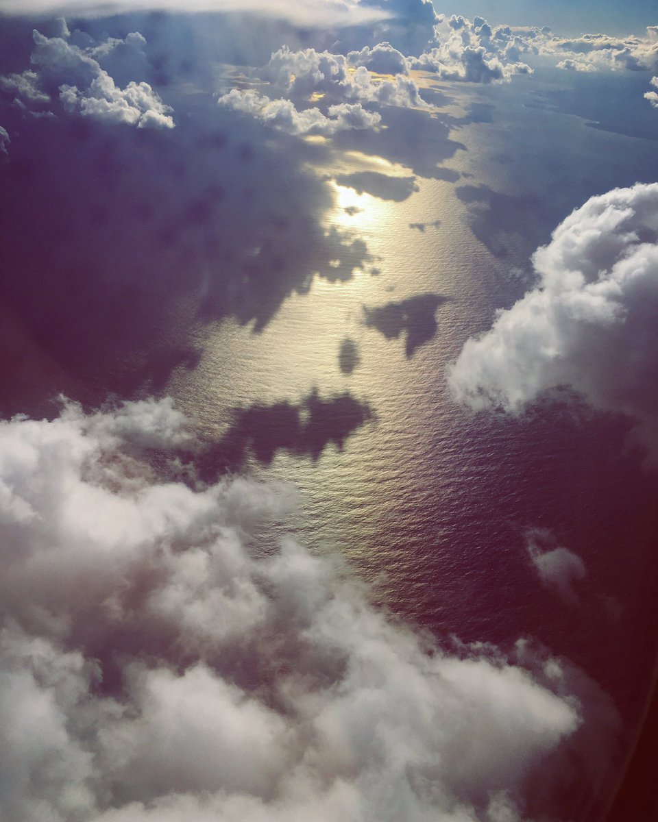 この世はでっかい宝島 Hledani Na Twitteru この世はでっかい宝島 Hledani Na Twitteru