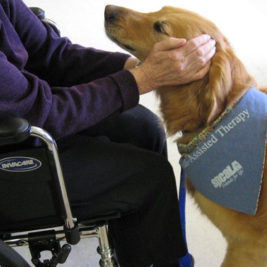 Therapy Animals – Bringing Smiles to People Everywhere crwd.fr/2lpjlL0