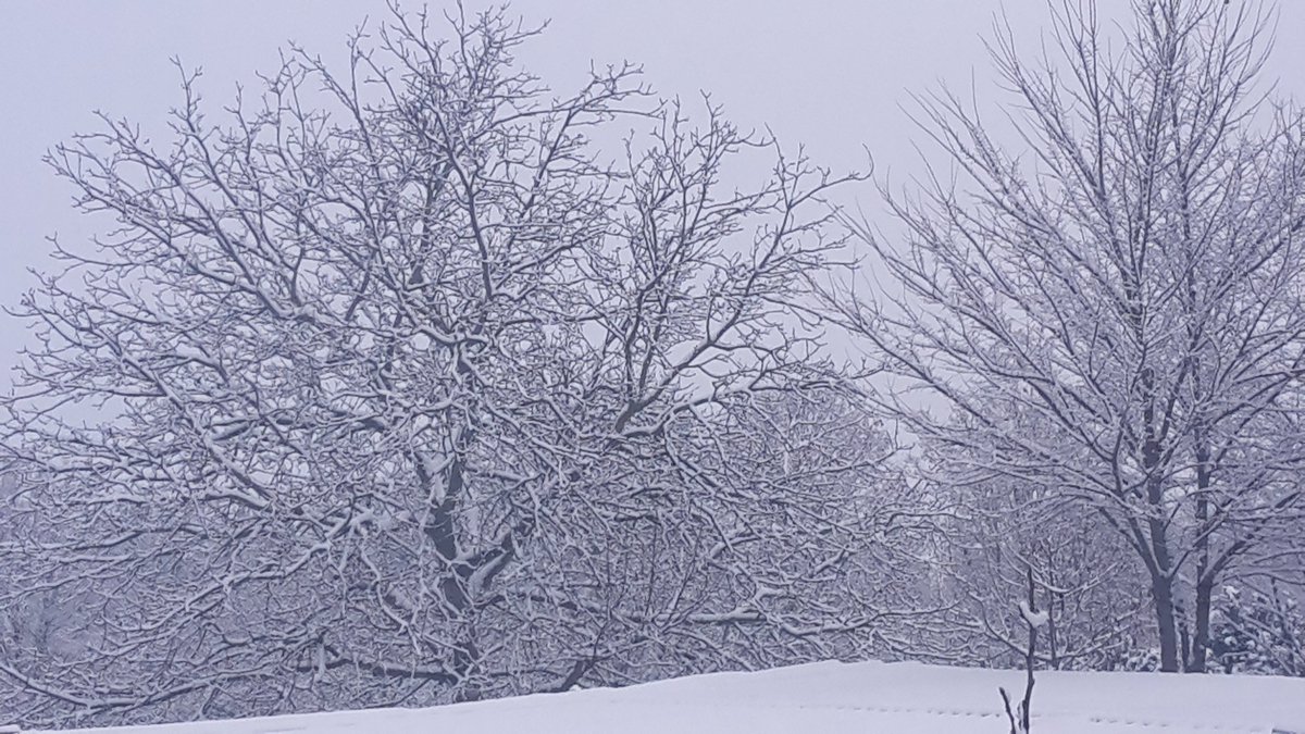 de_webdev's tweet photo. What a beautiful surprise this morning #snow #schnee #badkreuznach https://t.co/wPjsoUbLan