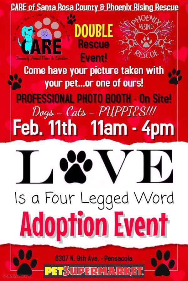 TODAY!!!! #puppylove #kissingbooth #caretomakeadifference #adoptdontshop