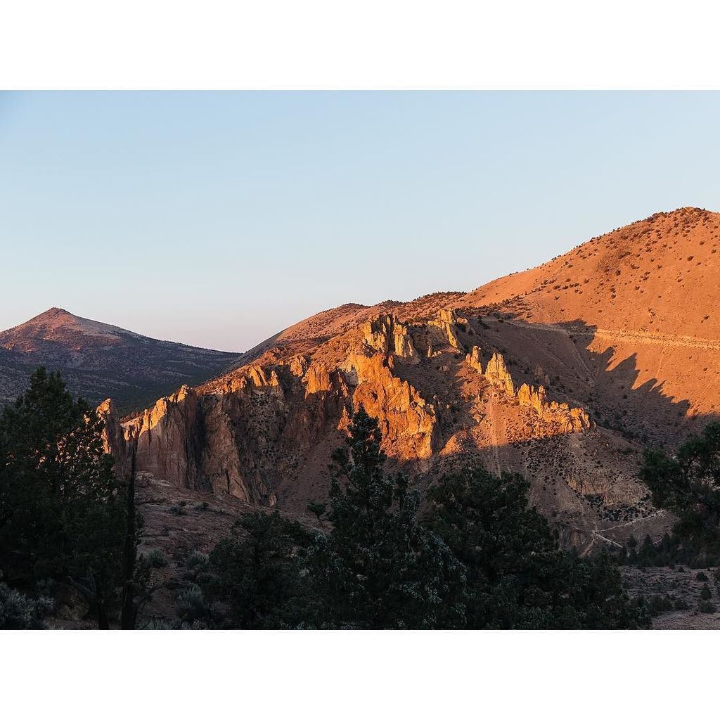 Fox and Favour tweet media