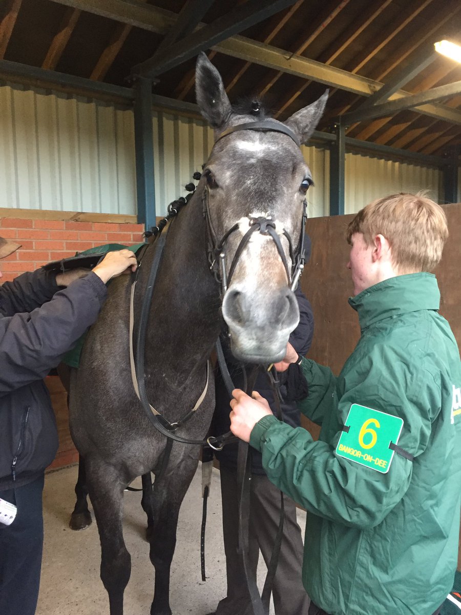 Thank you @Joe_Anderson96 for looking after baby Bruce so well! I hope he enjoyed his polo's! 🦄 xx