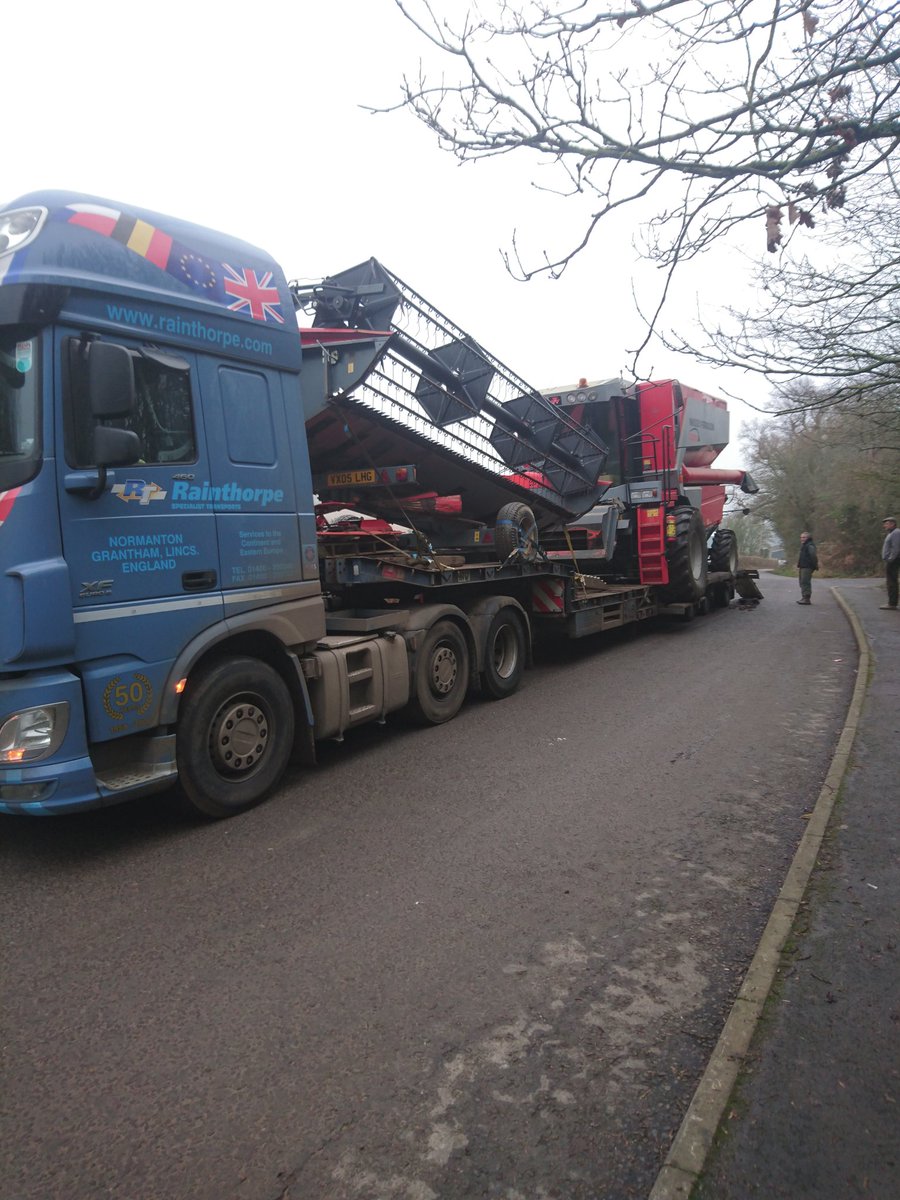 Will Hoad tweet media