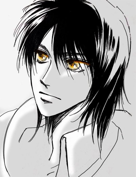 長髪エレンのtwitterイラスト検索結果