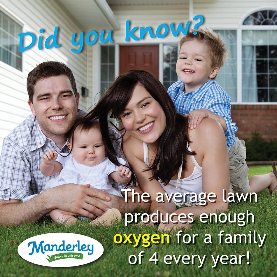 manderleyturf's tweet photo. Take a deep breath and thank your lawn! https://t.co/3ot7AHEWS1