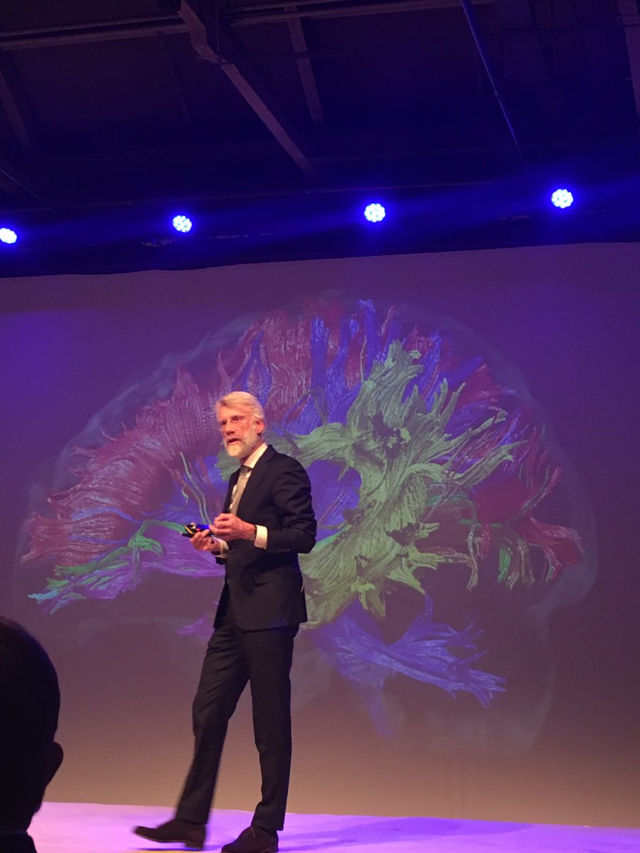 Hoe werkt ons brein op #nlvitaal