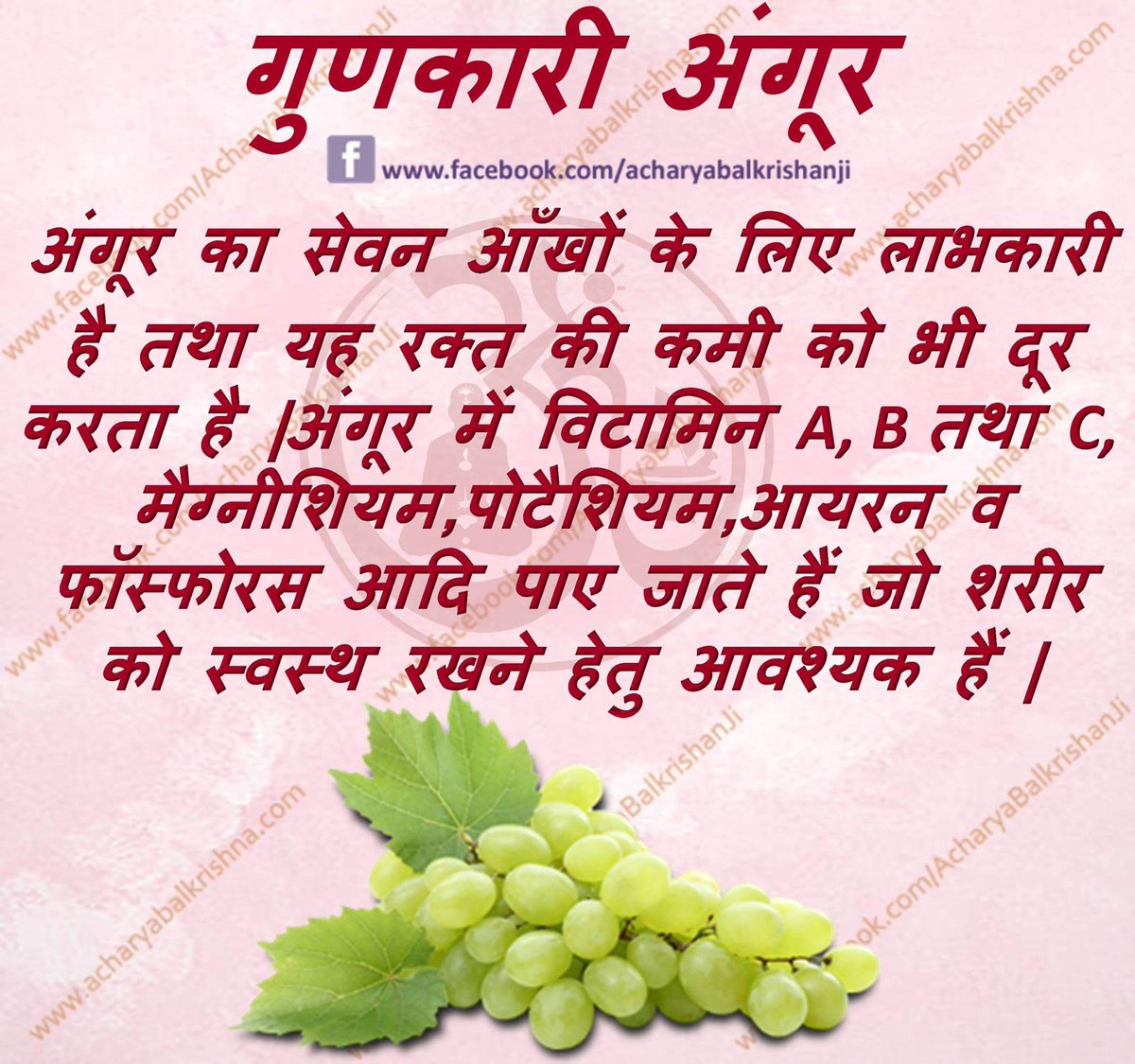 Ach_Balkrishna's tweet photo. गुणकारी #अंगूर #आचार्यबालकृष्ण #ayurveda #patanjali #acharyabalkrishna #healthtips #healthfood #Grapes #eyecare #vitamin #magnisium #miniral https://t.co/x01mSiKIlk