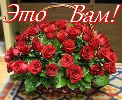 Лара К (@karpenkolarisa1) on Twitter photo 