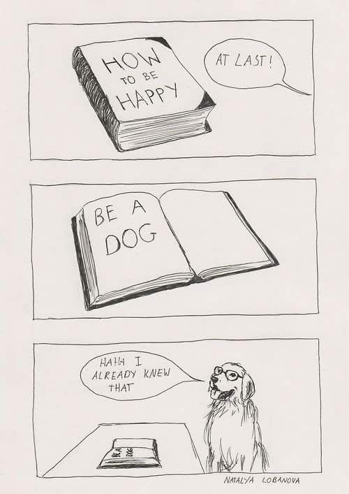 WholesomeMeme's tweet photo. https://t.co/pjZIAr17xz