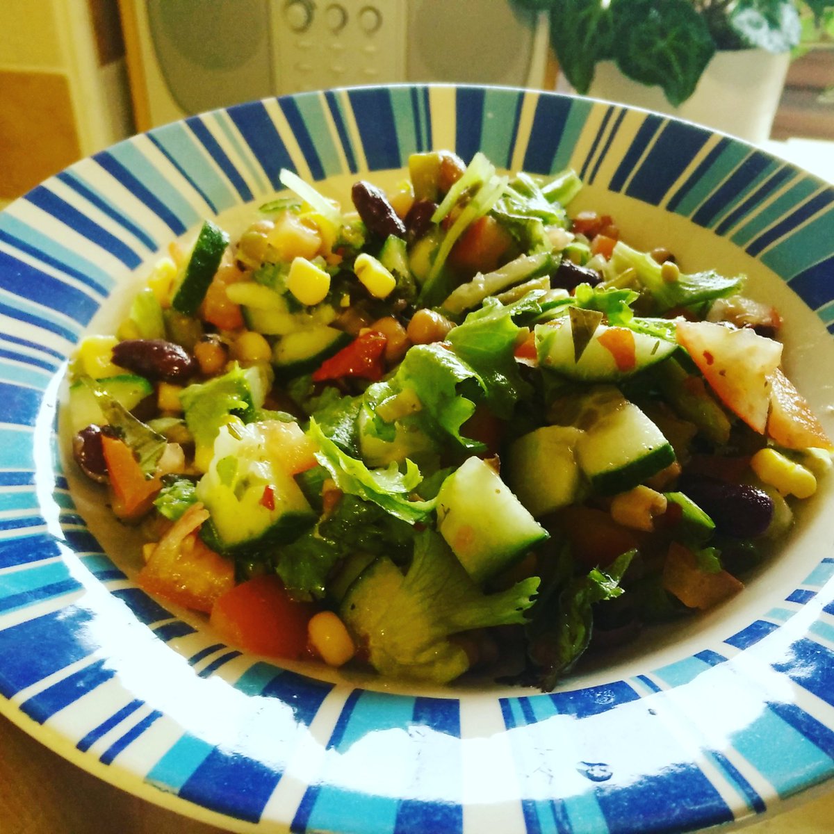kimmys_kitchen's tweet photo. #skinnypeoplefood π #healthy #motavated #stillfat #hashtagmad π https://t.co/7Ym5Qezegx