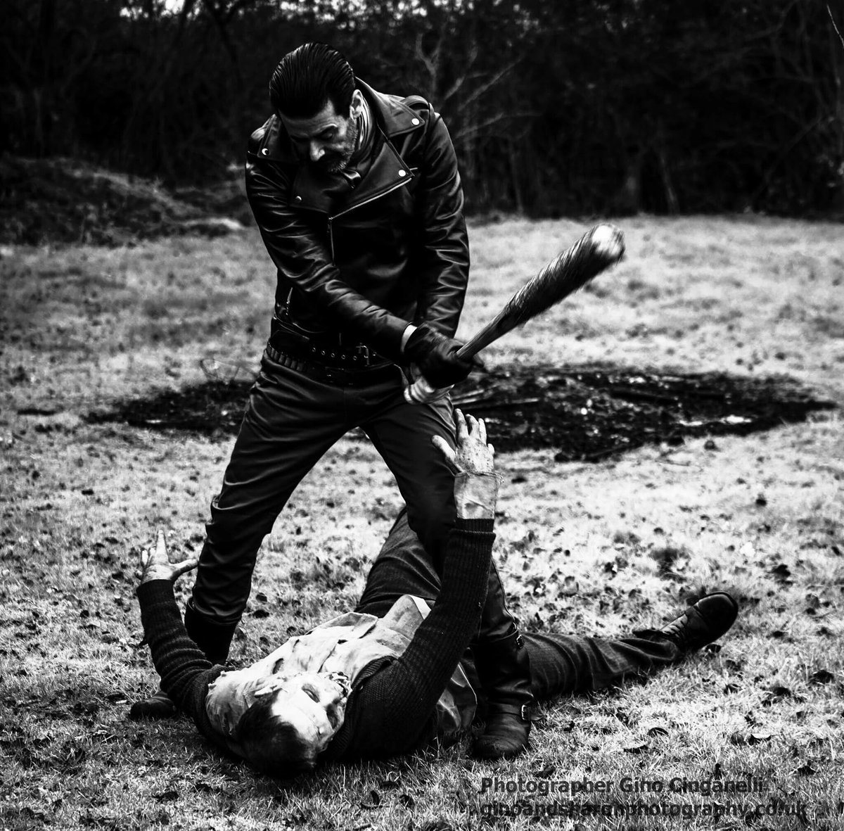 B u f f a l o King. (@ofmybuffalo) on Twitter photo 