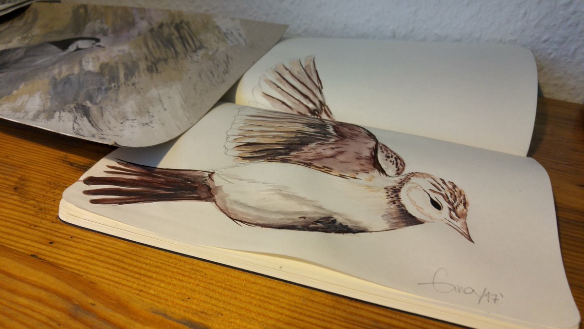 alauda87's tweet image. My skylark &amp;lt;3 
... she rules her life like a fine skylark
and when the sky is starless... 
#Rhianon