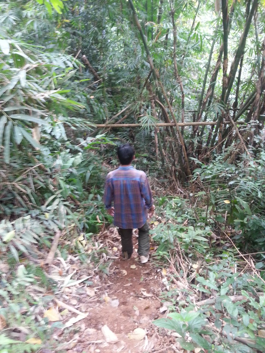 AmSong's tweet photo. Into the wild https://t.co/a3pkGXU4Ha