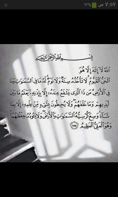 صقر السعودية (@shjfssd68955) on Twitter photo 