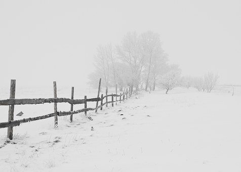 5POpenCoffee's tweet photo. Goedemorgen!

De winter in aantocht mooie momenten mensen!

Fijne zaterdag!
#weer #winter #zaterdag #mensen #goedemorgen @deoprinting https://t.co/l6ITyq0AXA