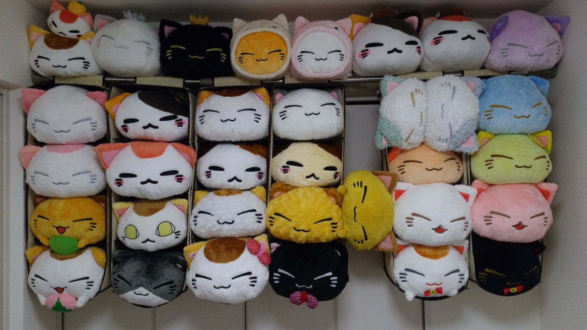 luddy_pb's tweet image. ねむネコマンション😻
空室ありません(=゜ω゜)ﾉ
