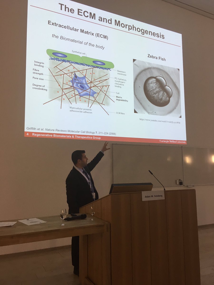 MirjamBauer's tweet photo. Feinberg @RegenBio @CarnegieMellon - Rebuilding the heart by #3D bioprinting of the extracellular matrix #3Dprinting #ETIM17 https://t.co/KUwTkfF3SJ