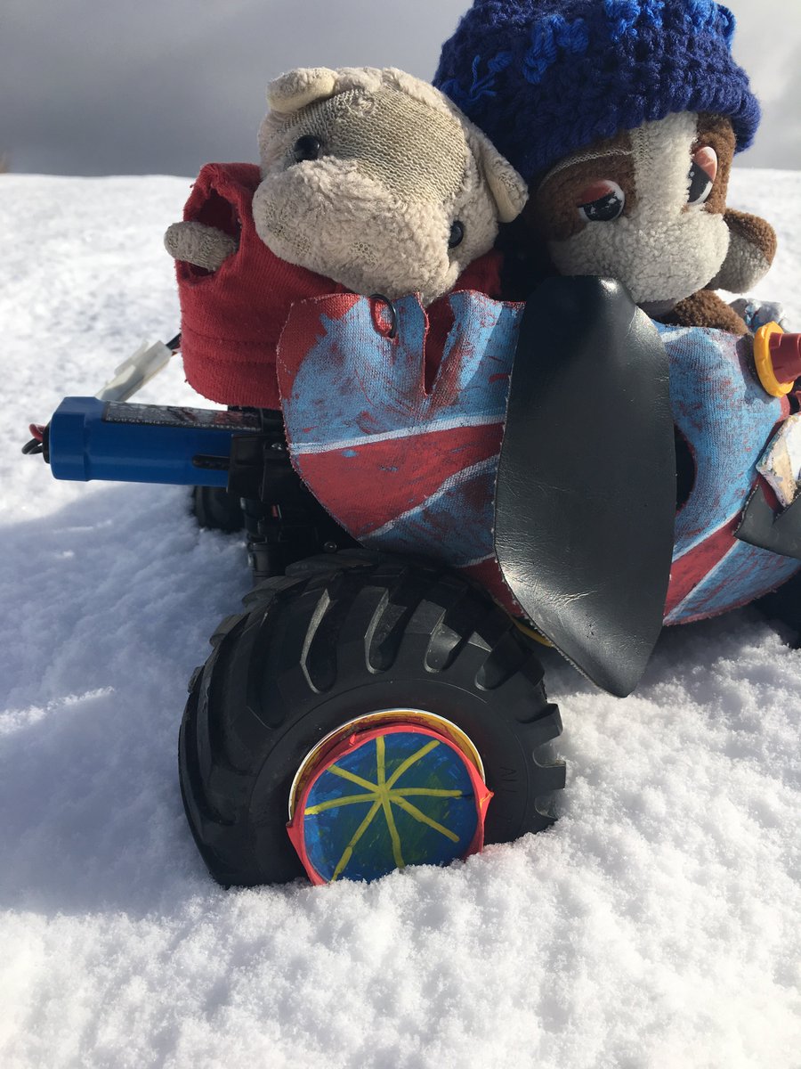 いぬわんたんファースト写真集『雪わんたん』は、 このまえむっちゃ