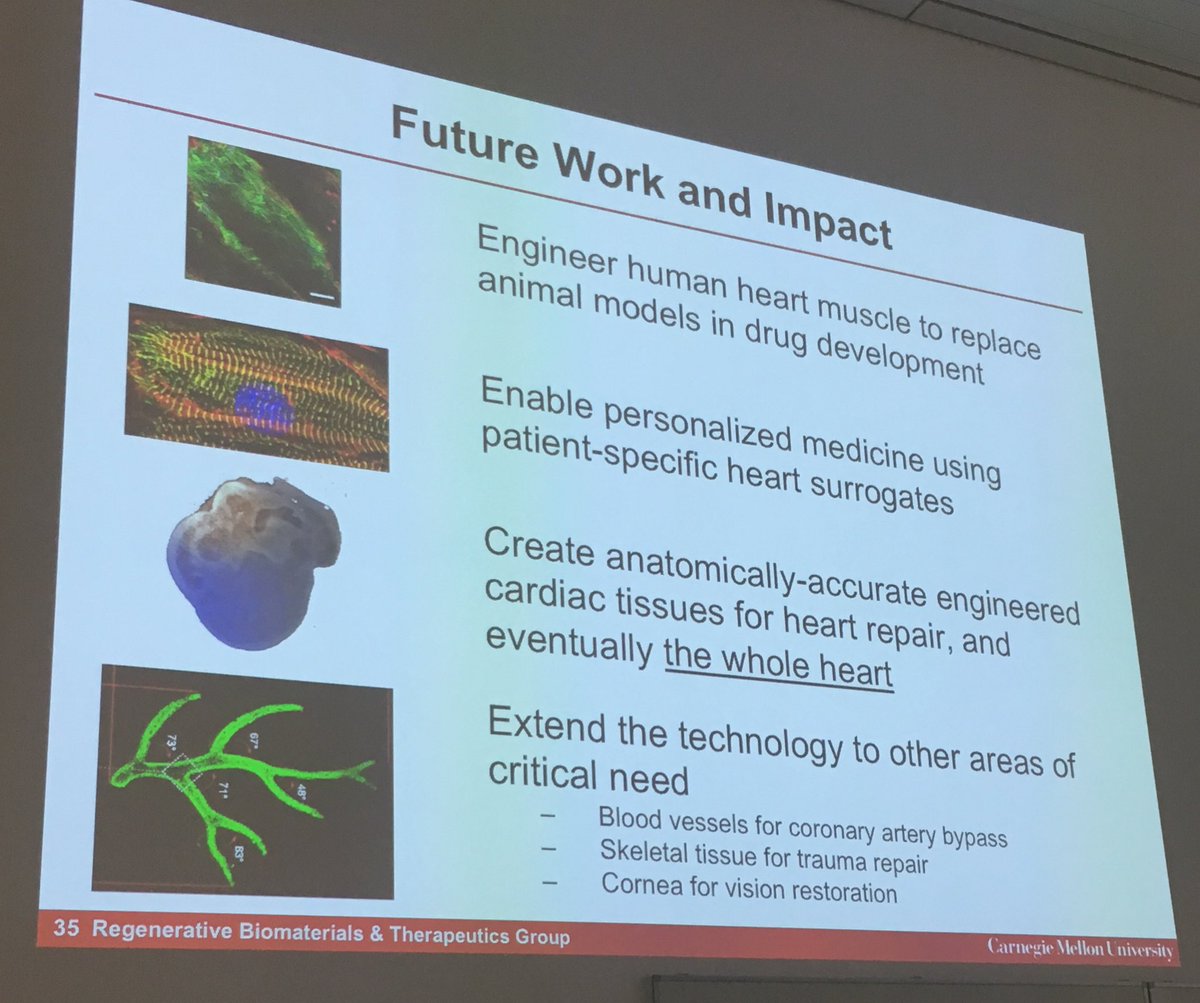 MirjamBauer's tweet photo. Feinberg @RegenBio @CarnegieMellon Future work and impact of rebuilding the heart by #3dprinting enabling personalized medicine etc #ETIM17 https://t.co/y3SYhElRTq