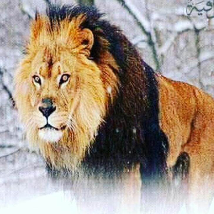 #NewProfilePic