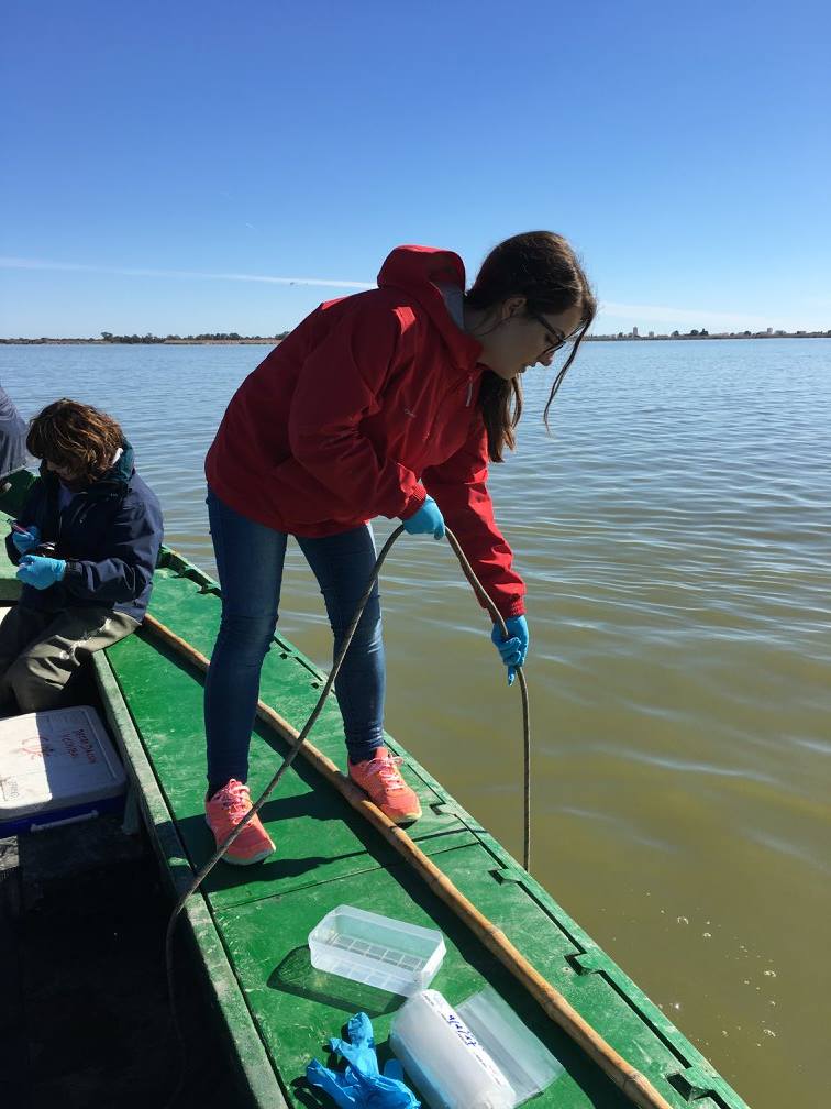 ECO2TOOLS's tweet photo. Muestreo en l'#Albufera con los miembros de la Oficina Técnica del Palmar para la obtención de #muestras de agua y sedimento #Eco2Tools https://t.co/4t81JXBFpf