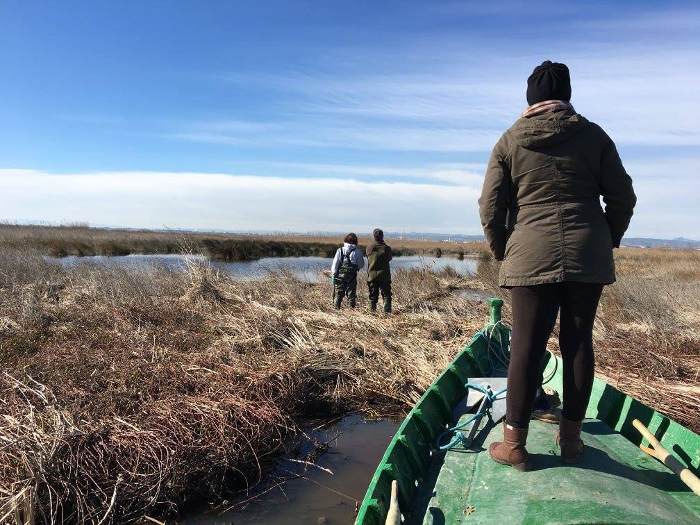 ECO2TOOLS's tweet photo. Muestreo en l'#Albufera con los miembros de la Oficina Técnica del Palmar para la obtención de #muestras de agua y sedimento #Eco2Tools https://t.co/4t81JXBFpf