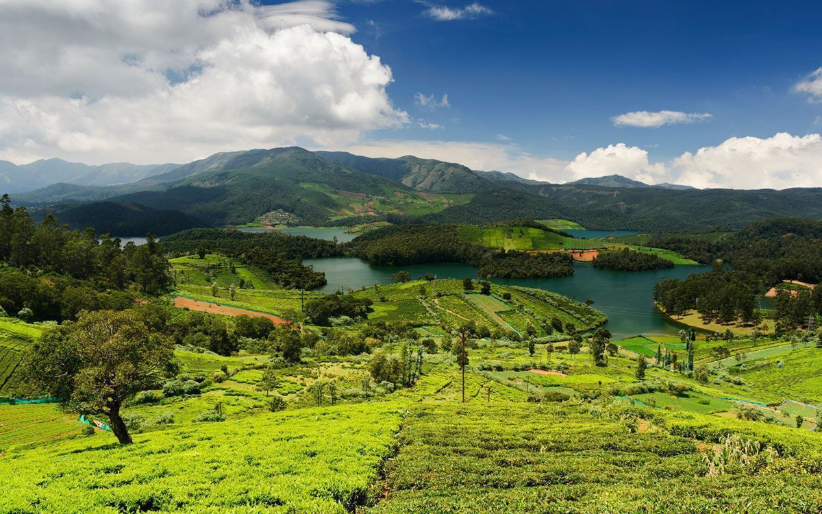 IndiaDiscover's tweet photo. One Stop Destination for Nature Lovers - https://t.co/K8AyXiluPG #ooty #ootyResort #ootyHoneymoonpackage #OotyTrip #triptoOOty #OotyHotels https://t.co/qA29FPY978