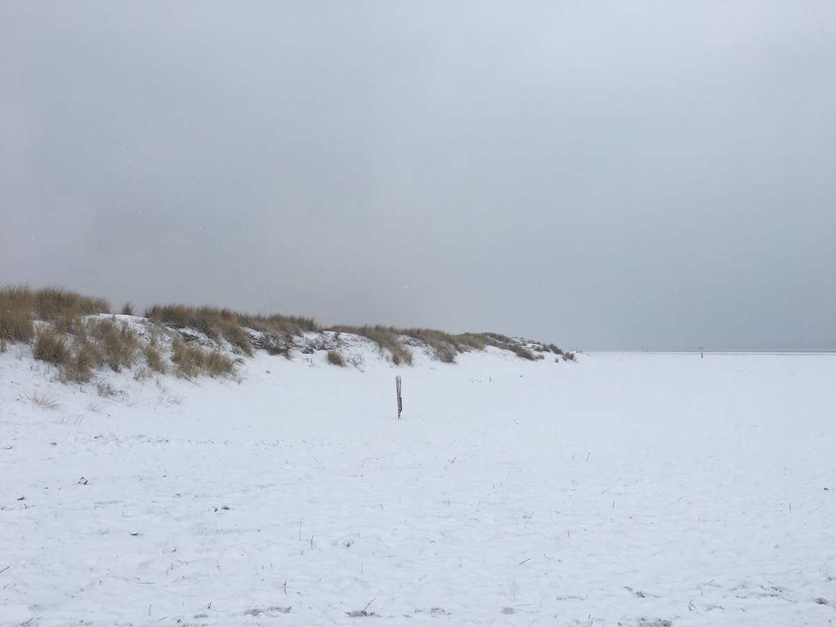 ophetstrand_nl's tweet photo. Winter Winderland #ophetstrand
@WNLVandaag https://t.co/4spkRwAp0c