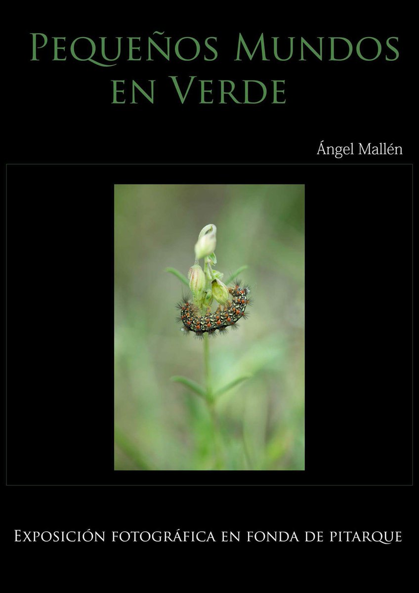 Nuestro compañero Ángel Mallén expone hasta el 24 de febrero en fonda #Pitarque #expo #foto #Teruel