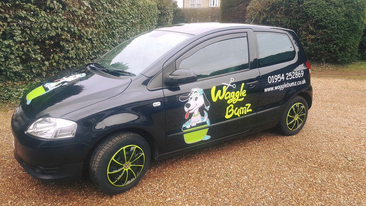 wagglebumz's tweet photo. Wagglebumz loves Volkswagen &amp; Vindis https://t.co/jaAFJLi5up
