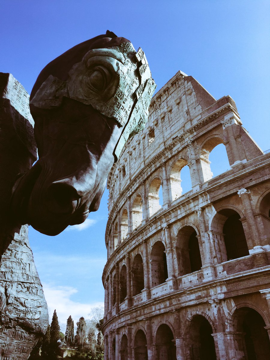 derekjmdillon's tweet photo. #matchdayderek #rome #IREvITL #horse #sowhat https://t.co/wGT7HEmzjB
