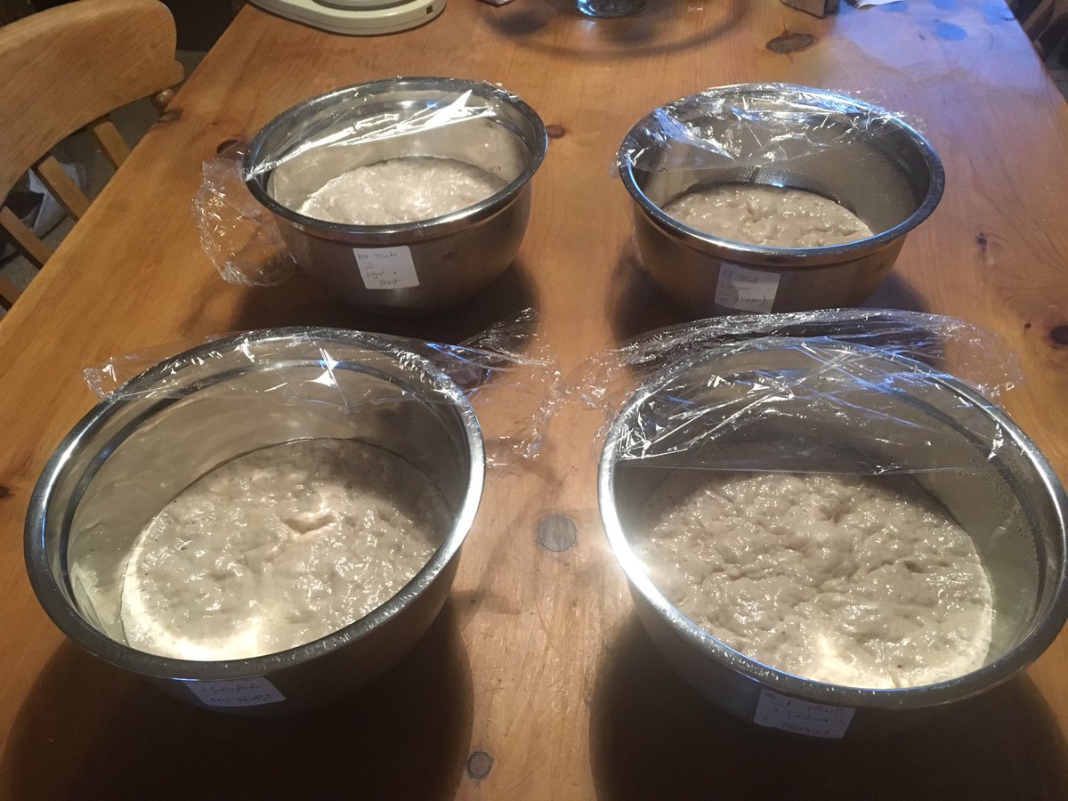 Penlon Honey and Lager beer bread in the making using yeast from the fermented trub. Let's see how they bake...