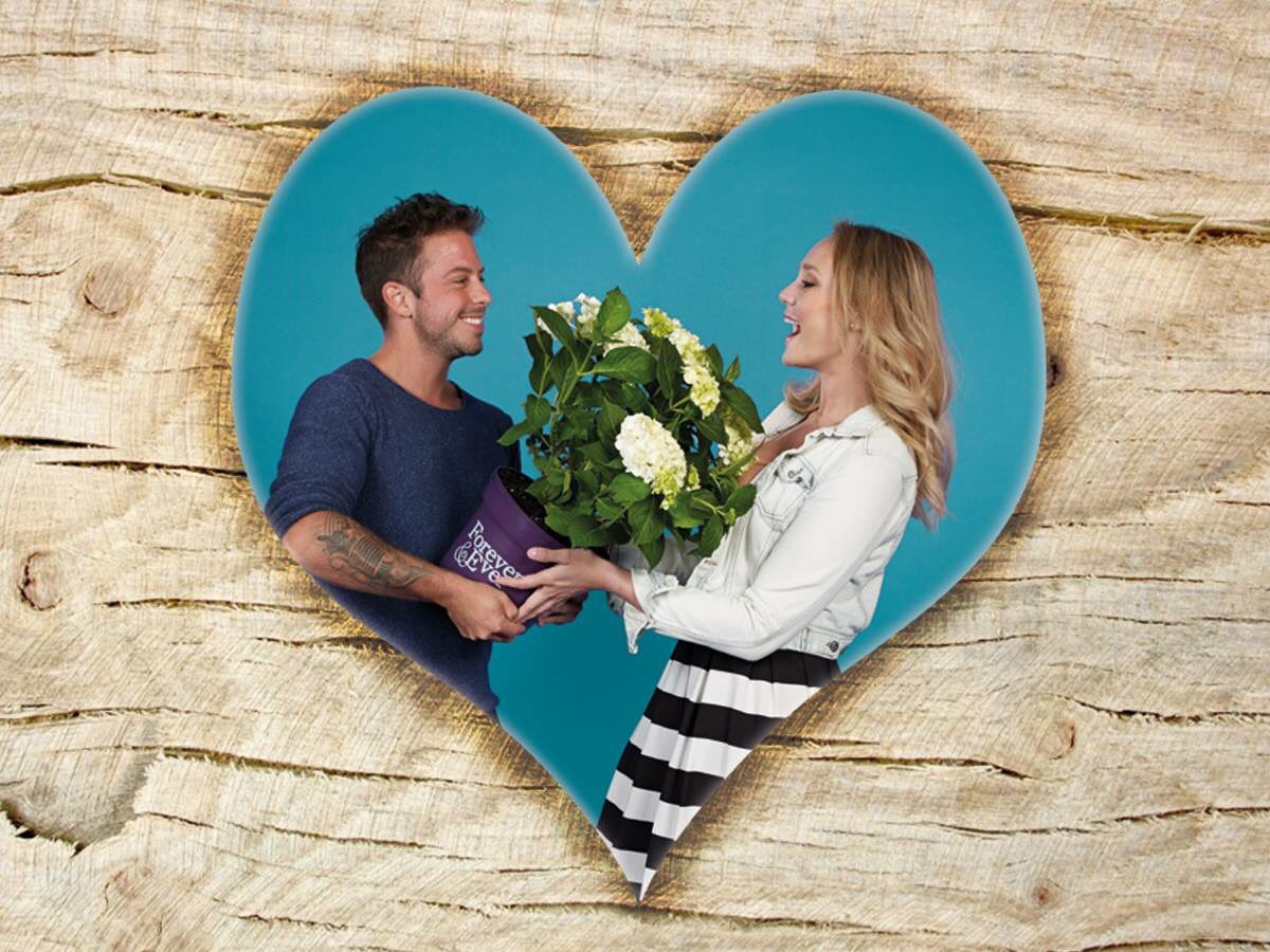 Verras je geliefde op Valentijnsdag met onze bloeirijke planten. Dan zal er net zoals in de liefde, ook in uw tuin iets moois opbloeien.