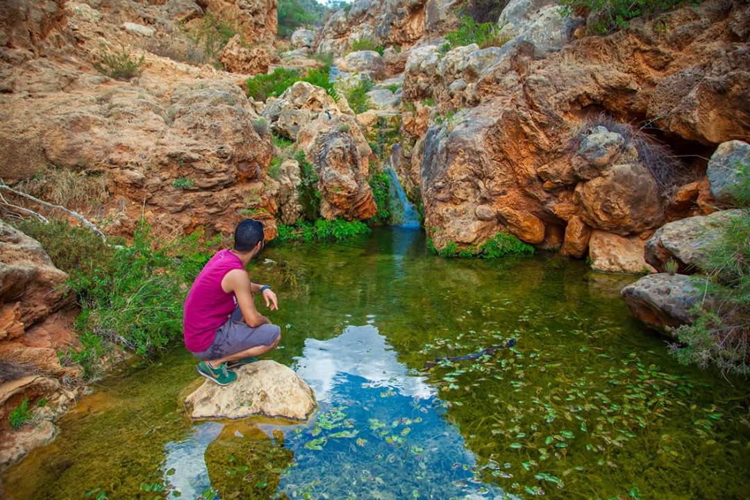 Gonzalo_1906's tweet photo. اجمل صور للجميلة #سوسة #الجبل_الاخضر_ليبيا بعدسة سند الاحلافي https://t.co/MKnVqSrdbl